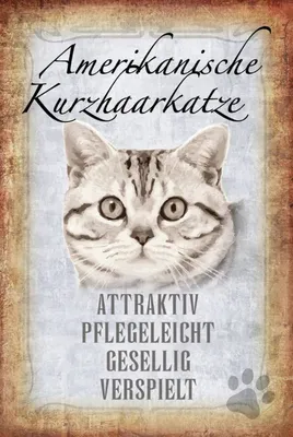 Produktbild von vianmo Holzschild 18x12 cm Americanische Katze Kurzhaar