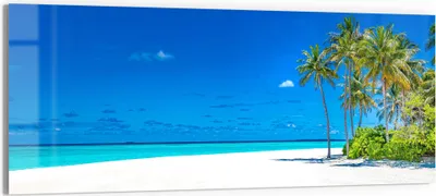Produktbild von DEQORI Glasbild Echtglas 150x60 cm 'Palmenstrand Panorama' Wandbild Bild modern Deko