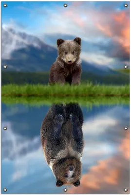 Produktbild von Wallario Outdoor-Poster für Garten oder Balkon, Motiv Zukunftsaussichten, in ca. 100 x 150 cm