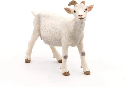 Obrázok produktu pre Papo 51144, 3 rok / roky, Farmyard friends, Biela, PVC