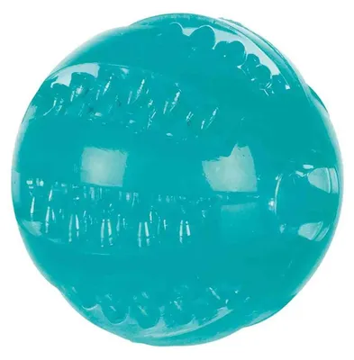 Image de Denta Fun Ball ø 6 cm