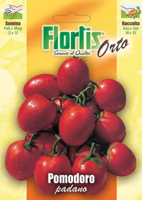 Produktbild von Tomate Padano | Tomatensamen von Flortis