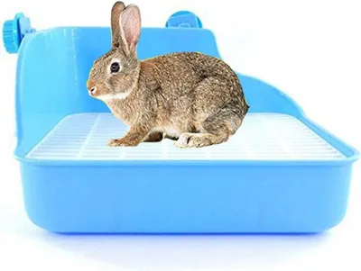 Produktbild von Katzentoilette für Kaninchen, Katzen, Kleintiere, Toilettentrainer, Ecktoilette, Haustiertoilette, Hamster, Rennmaus, Kaninchen, Chinchilla, Meerschweinchen, Frettchen