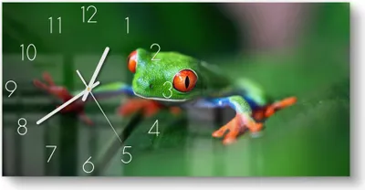 Produktbild von DEQORI Glasuhr 60x30 cm Zahlen 'Grüner Frosch im Laub' Wanduhr Glas Uhr Design leise