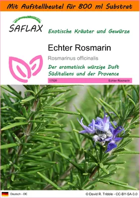 Produktbild von SAFLAX - Garden in the Bag - Kräuter - Echter Rosmarin - 100 Samen - Mit Anzuchtsubstrat im praktischen, selbst aufstellenden Beutel - Rosmarinus officinalis