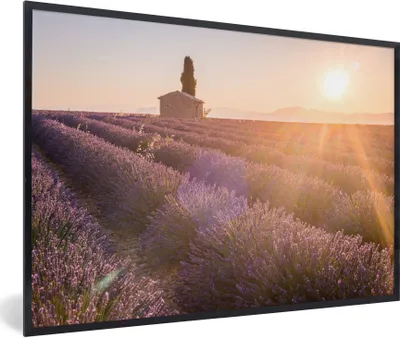 Produktbild von MuchoWow® Gerahmtes Poster Sonnenaufgang über einem Lavendelfeld 90x60 cm - Poster mit Schwarzem Bilderrahmen Wandposter Rahmen Foto Bilder - Fotorahmen - Foto-Plakat