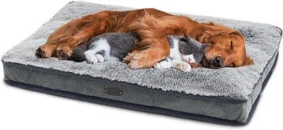 Productafbeelding van Waterdicht hondenbed voor grote honden, middelgroot, comfortabel en met een afneembare hoes