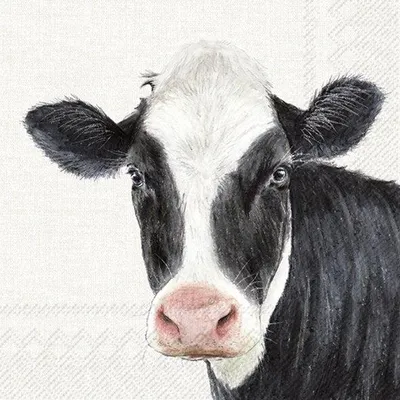 Produktbild von Servietten 33x33 cm " Kuh /Farm cow" von ihr