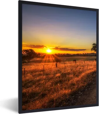 Produktbild von MuchoWow® Gerahmtes Poster Sonne - Gras - Baum - Natur 60x80 cm - Poster mit Schwarzem Bilderrahmen Wandposter Rahmen Foto Bilder - Premium - Wanddeko Wohnzimmer