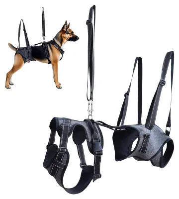 Image de Harnais de soutien réglable pour chiens