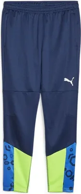 Produktbild von Puma IndividualCUP Fußball-Trainingshose Herren blau pro grün Gr XL