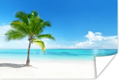 Produktbild von MuchoWow® Poster Palme - Strand - Meer - Sommer 30x20 cm - Plakate - Print