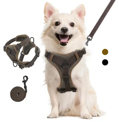 Imagen del producto de Solidchoice: Arnés y correa para gatos, conjunto para paseos seguros con banda reflectante