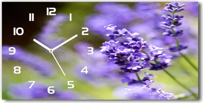 Produktbild von Wanduhr aus Glas – 60x30 cm - Glasbild - Glasuhr - Gehärtetes Glas - weisse-zeiger - Lavendel