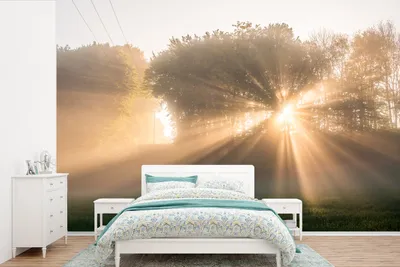 Produktbild von MuchoWow® Fototapete für Wohnzimmer oder Schlafzimmer Wandtapete Vinyl Motivtapete Sonnenstrahlen durch den Morgennebel im Söderåsen-Nationalpark - 450x300 cm - Gemusterte