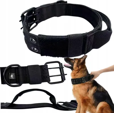 Collage of images showing a black dog collar and a German Shepherd wearing it.