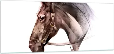 Produktbild von Bilder auf glas - Pferd Abstraktion - 100x40cm - Glasbilder - Wandbilder - Kunstdruck - zum Aufhängen bereit - Wanddekoration aus Glas - Glas Bilder - Wandbild auf Glas - Einteilig - GAB100x40-4106