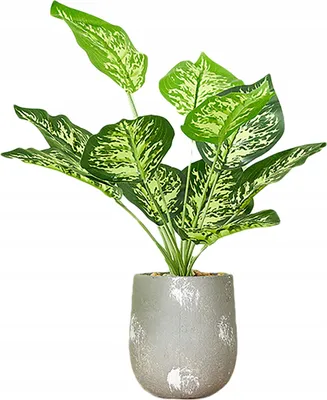 Produktbild von Künstliche Pflanze Blume im Topf für Home Office Realistische Dieffenbachia