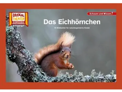 Image de Das Eichhörnchen / Kamishibai Bildkarten