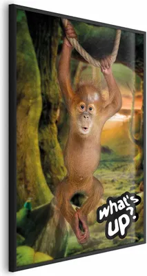 Produktbild von Posterpapier Poster - What's Up? 60x90 cm Für Kinder g-A-0203-ao-a