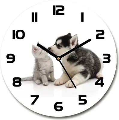 Produktbild von Wanduhr aus Glas 30fi Glasbild Glasuhr Gehärtetes Glas - schwarze-zeiger - Dog and cat