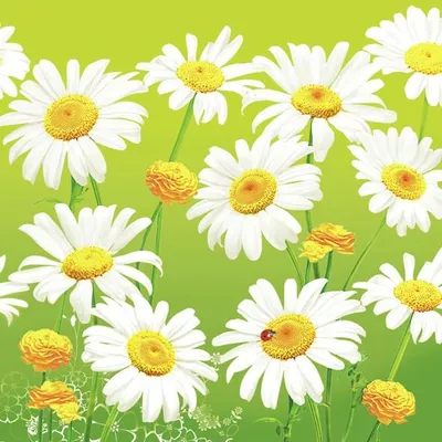 Produktbild von Servietten 33x33 cm - Lovely Marguerites on Green