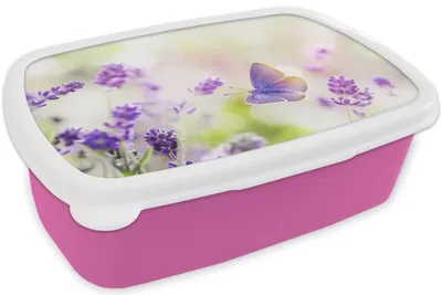 Produktbild von KitchenYeah® Lunchbox Brotzeit Brotdose 17x11 cm Lavendel - Schmetterling - Blumen Kinder Brotzeitdose - Lunchpaket - Brotkasten  - Sandwich Box