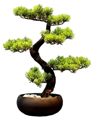 Produktbild von Simulation Topfpflanze Yingbin Kiefer Bonsai Simulationsbaum für Garten und Bürodekoration