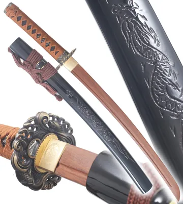 Produktbild von Danzan Wakizashi Drachen-Schwert aus Holz Trainingsschwert Wakizashi Japanisch Säbel – Klinge aus Wengeholz