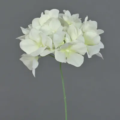 Produktbild von artplants.de Dekoblume Hortensie FUHUA, Creme, 25 cm - Künstlicher Blumenzweig