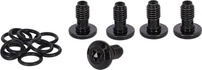 Produktbild von Campagnolo Scheibenbremsschrauben 5 Einheiten Silber  Silber One Size