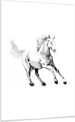 Produktbild von Bilder auf glas - Einteilig - Pferd Galopp Tier - 70x100cm - Glasbilder - Wandbilder - Bilder - zum Aufhängen bereit - Wanddekoration aus Glas - Glas Bilder - Wandbild auf Glas - GPA70x100-5117