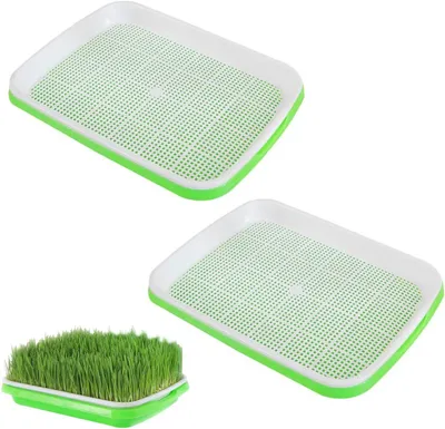 Zdjęcie produktu dla Kweekschaal – pojemniki na mikroziółka, 2 sztuki, wymiary 22,5 x 14,5 cm, wykonane z tworzywa sztucznego, do użytku w kuchni