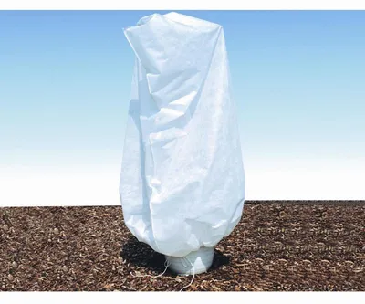 Image de SIENA GARDEN Sac pour plantes en bac 'XL