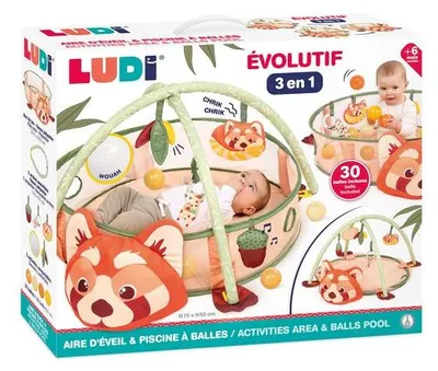 Image de LUDI 20024, 0,5 an(s)