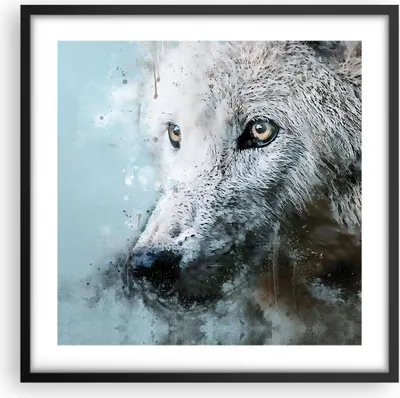 Produktbild von Gerahmtes Poster - Schwarzer Rahmen - Weiß Der Wolf Bild - 50x50 cm - Wand Bild - Wanddeko - Wandbilder - Kunstposter - Wandposter - Bilderrahmen - Bilder - Kunstdruck - P2BAC50x50-4623