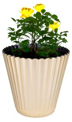 Immagine prodotto di Vaso da fiori scanalato oro champagne come vaso per piante da esterno 13 cm