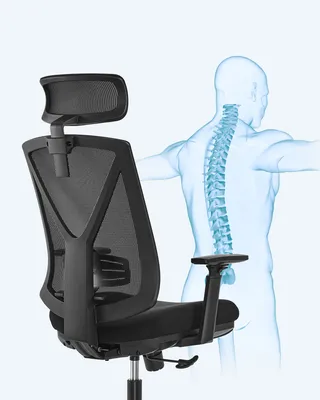 A black office chair is shown next to a translucent blue human anatomy illustration highlighting the spine.