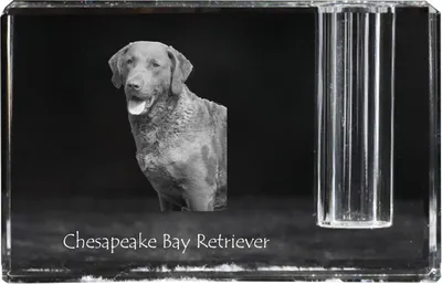 Produktbild von Chesapeake Bay Retriever - Stifthalter, Kristallorganizer mit Hundefoto, einzigartige Schreibtischdekoration der Marke Art-Dog