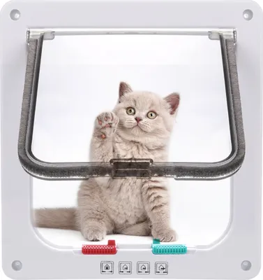 Produktbild von Haustiertür, Katzen- Hundeklappe, mit 4 Verschlussoptionen, L: 23,5 x 25 cm