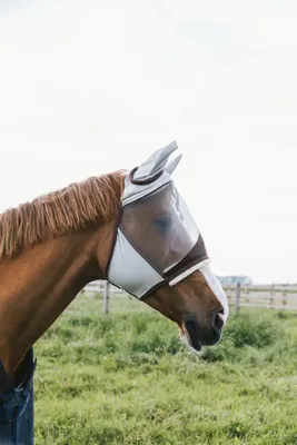 Produktbild von Kentucky Horsewear Fly Mask Skin Friendly With Ears