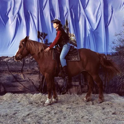 Produktbild von Horse