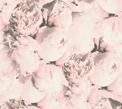 Produktbild von A.S. Création Rosentapete Neue Bude 2.0 Edition 2 florale Tapete Mia Vliestapete rosa creme 10,05 m x 0,53 m