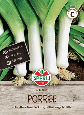 Produktbild von SPERLI Porreesamen D´Elbeuf Allium porrum 70 Pflanzen