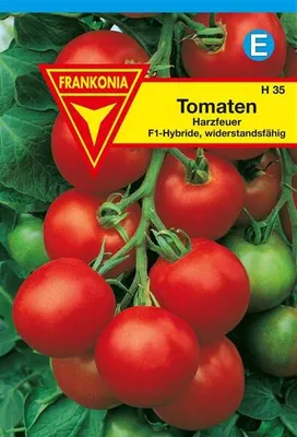 Produktbild von Tomaten Harzfeuer F1