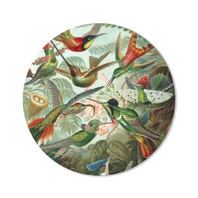 Produktbild von MuchoWow® Mauspad Mousepad Trochilidae - Ernst Haeckel - Vogel 30x30 cm - Mousepads - Maus Mat - Pad - Mausunterlage - Tischunterlage - Schreibtischmatten
