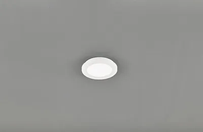 Obrázek produktu pro TRIO Reality R62921001 Camillus stropné svietidlo LED 1x10W 850lm 3000K IP44