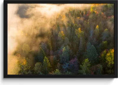 Produktbild von MuchoWow® MuchoWow® Gerahmtes Poster Wald - Nebel - Sonnenuntergang 60x40 cm - Poster mit zchwarzem Bilderrahmen - Printing - Wanddeko Schlafzimmer