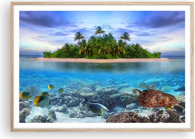 Produktbild von Gerahmtes Poster - Rahmen in heller Eiche - Strand lagune wasser ozean - 100x70 cm - Wand Bild - Wanddeko - Wandbilder - Wandposter - Bilderrahmen - Bilder - Kunstdruck - Wandbild - P2NAA100x70-2686