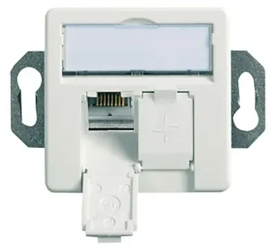 Immagine prodotto di Telegärtner 100022957 presa 2 x RJ-45 Bianco